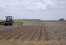 Decline in fuel prices bring temporary relief Decline in fuel prices bring temporary relief