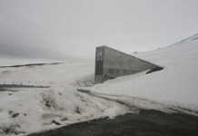 World’s seed bank safe after water scare