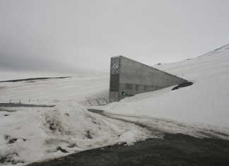 World’s seed bank safe after water scare