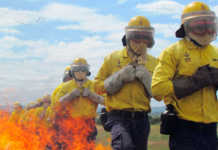 Be prepared for a “very difficult” winter fire season