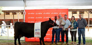 Milestone week for Angus breed
