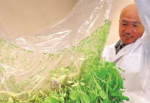 Japan’s new approach to farming without soil