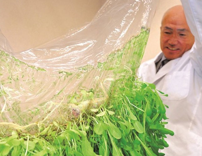 Japan’s new approach to farming without soil Japan’s new approach to farming without soil
