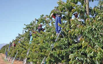 Employee incapacity in the workplace