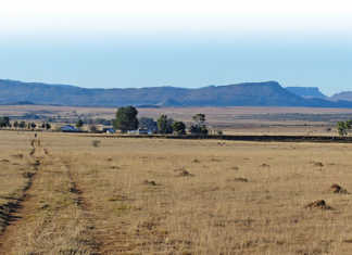 Zokwana: Protect farmers and farmworkers Zokwana: Protect farmers and farmworkers