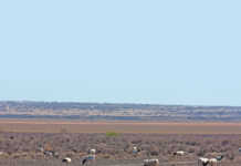 High Court sets aside KZN fracking application