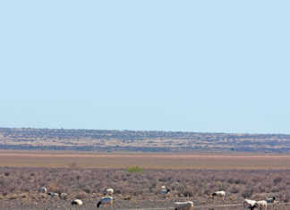 High Court sets aside KZN fracking application