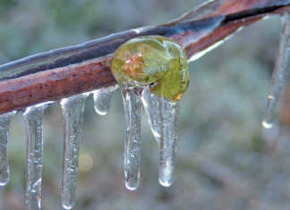 Simple and effective ways to beat the heat and the frost