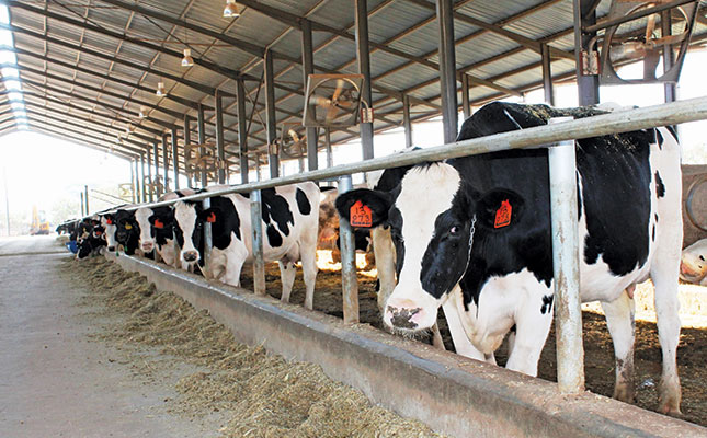 Transformation vital for progress in the dairy industry Transformation vital for progress in the dairy industry
