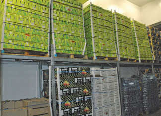 The guardians of South Africa’s export fruit quality