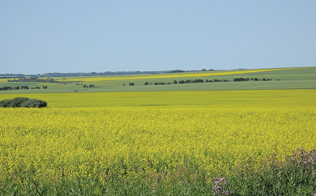 Glyphosate non-carcinogenic, but unsafe
