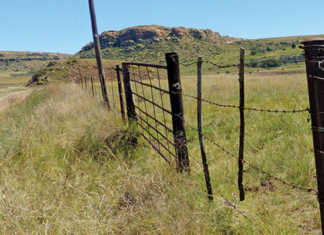 R100 000 reward for proving land theft claims