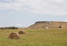 ‘Land reform is ANC's political game' - FF Plus