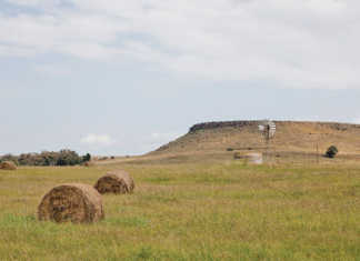 ‘Land reform is ANC’s political game’ – FF Plus ‘Land reform is ANC's political game' - FF Plus