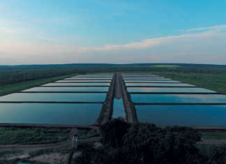 SA government failing commercial aquaculture