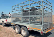 Tips for stress-free livestock transporting
