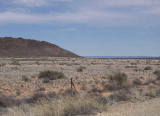 Western Cape drought declaration: ‘crisis for farmers’