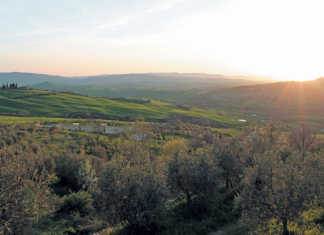 Is agritourism the answer for your farming business’ woes?