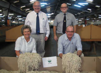 World record price for SA mohair