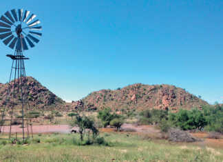 Always manage grazing with drought in mind