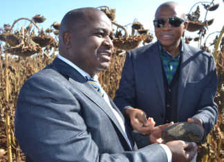 Millions for restitution project in North West