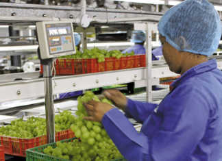 Free State tasked with fast-tracking agro-processing plans