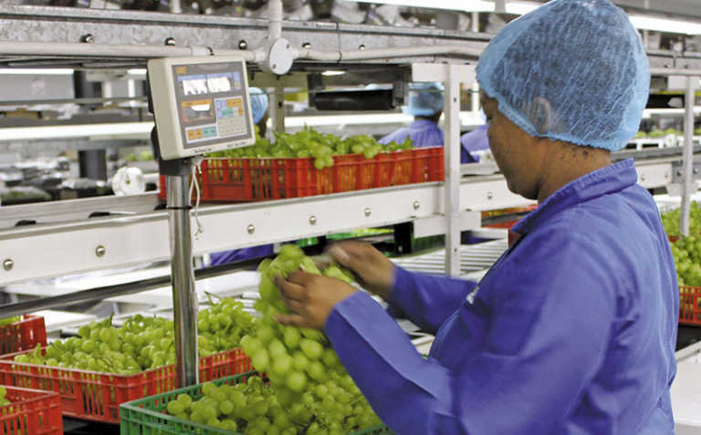 Free State tasked with fast-tracking agro-processing plans Free State tasked with fast-tracking agro-processing plans