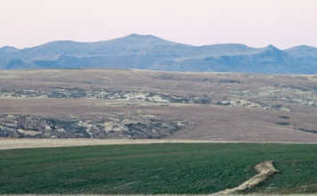 SA to host first ever International Rural Crime Conference