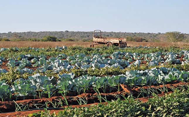 Northern Cape receives record entries for FEA Northern Cape receives record entries for FEA