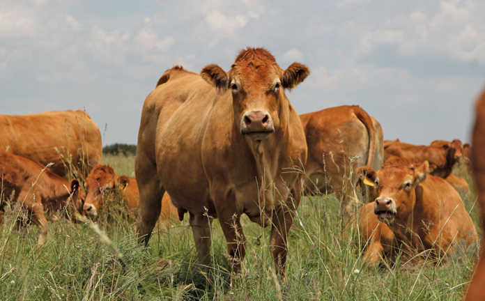 Keep accurate records for maximum economic impact