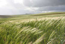 Agri sector contributes 22,2% growth to SA’s struggling GDP Agri sector contributes 2,2% growth to SA’s struggling GDP