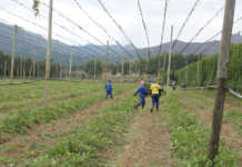 Celebrating agriculture’s unsung heroes