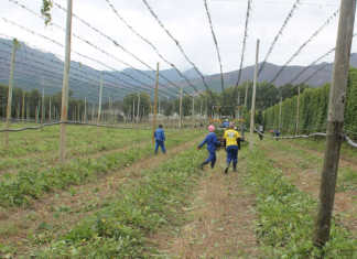 Celebrating agriculture’s unsung heroes