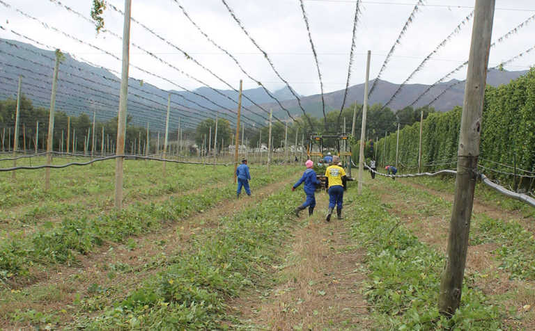 Celebrating agriculture’s unsung heroes Celebrating agriculture’s unsung heroes