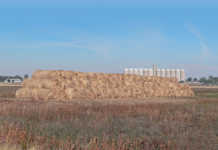 Aid for producers in dry Northern and Western Cape