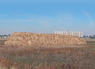 Aid for producers in dry Northern and Western Cape