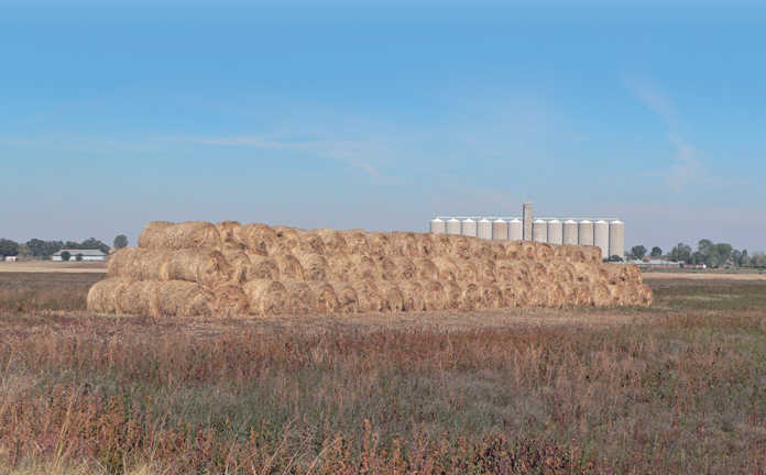 Aid for producers in dry Northern and Western Cape