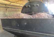 New market opportunities for South Africa’s macadamias