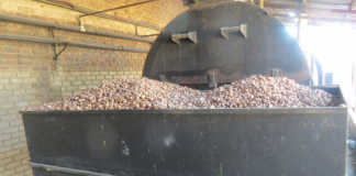 New market opportunities for South Africa’s macadamias