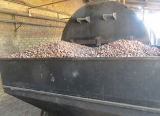 New market opportunities for South Africa’s macadamias