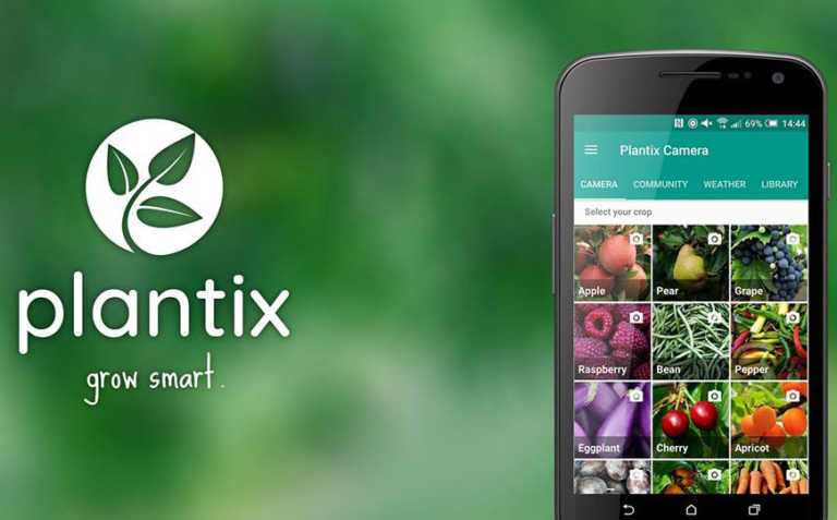 Introducing the Plantix plant doctor app Introducing the Plantix plant doctor app