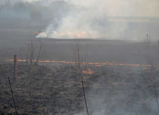 Free State veld fire warning