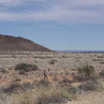 Western Cape drought’s knock-on effect on SA economy