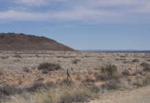 Western Cape drought’s knock-on effect on SA economy