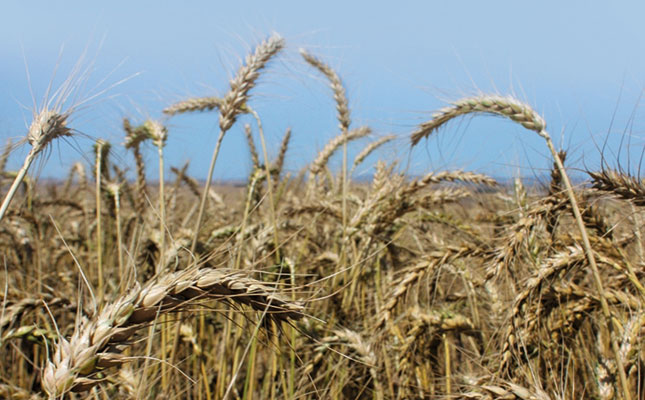 Zimbabwe kicks off anti-malnutrition programme Zimbabwe kicks off anti-malnutrition programme