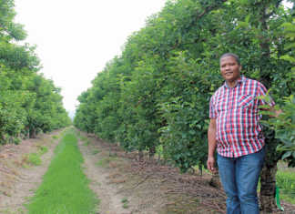 Anton Alexander, 2016 Western Cape Prestige Agri Worker of the Year,