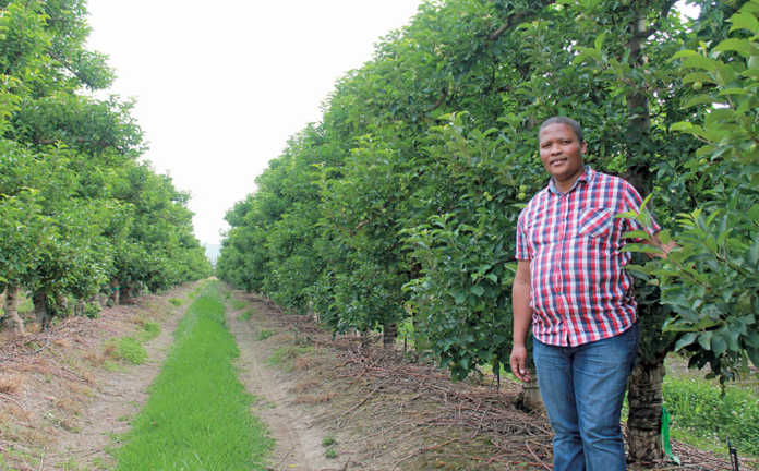 Anton Alexander, 2016 Western Cape Prestige Agri Worker of the Year,