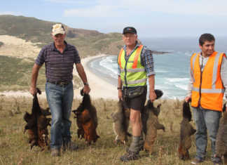 Legal challenge for NZ predator eradication project