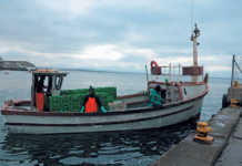 Court rules for DAFF in fishing rights allocation Court rules for DAFF in fishing rights allocation