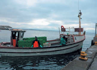 Court rules for DAFF in fishing rights allocation